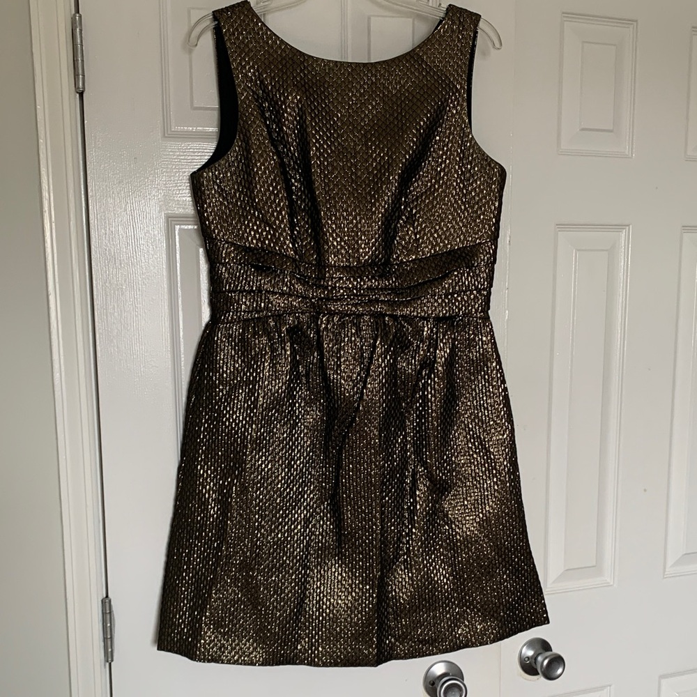 Chic Metallic Gold and Black Mini Dress